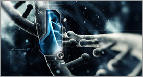 Biocompatibility